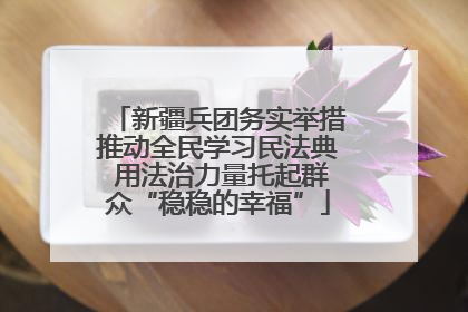 新疆兵团务实举措推动全民学习民法典 用法治力量托起群众“稳稳的幸福”