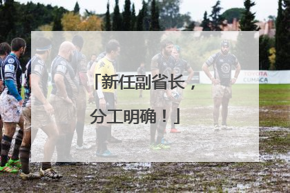 新任副省长，分工明确！