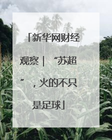 新华网财经观察｜“苏超”，火的不只是足球