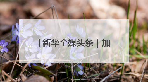 新华全媒头条｜加快赋能千行百业 持续优化产业生态——浙江推动人工智能健康有序发展观察