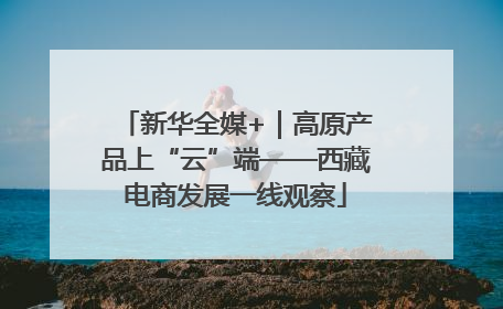 新华全媒+｜高原产品上“云”端——西藏电商发展一线观察
