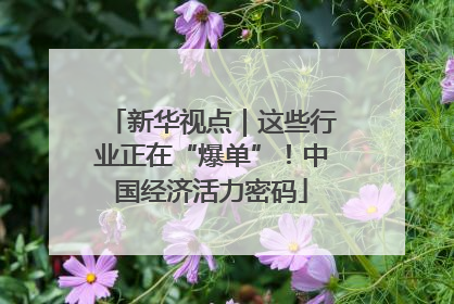 新华视点｜这些行业正在“爆单”！中国经济活力密码
