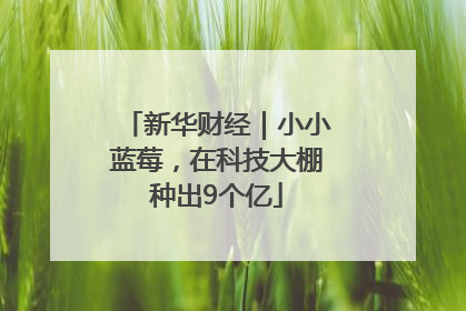 新华财经｜小小蓝莓，在科技大棚种出9个亿