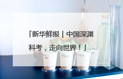 新华鲜报｜中国深渊科考，走向世界！