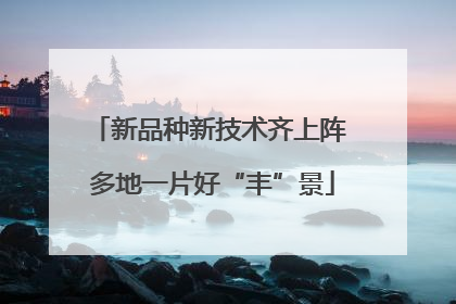 新品种新技术齐上阵 多地一片好“丰”景