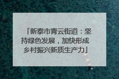 新泰市青云街道：坚持绿色发展，加快形成乡村振兴新质生产力
