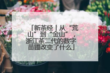 新茶经丨从“荒山”到“金山”，浙江茶二代的数字苗圃改变了什么