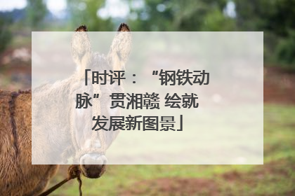 时评：“钢铁动脉”贯湘赣 绘就发展新图景