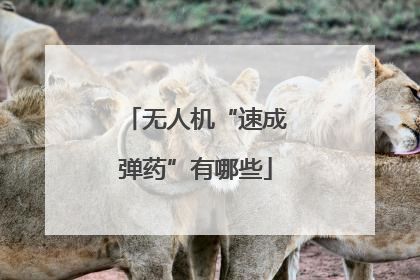 无人机“速成弹药”有哪些
