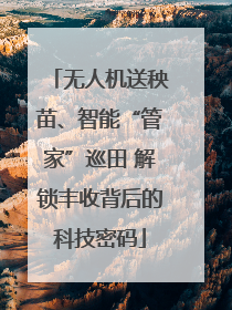 无人机送秧苗、智能“管家”巡田 解锁丰收背后的科技密码