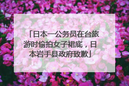 日本一公务员在台旅游时偷拍女子裙底，日本岩手县政府致歉