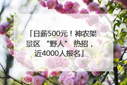 日薪500元！神农架景区 “野人” 热招，近4000人报名