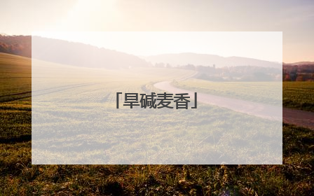 旱碱麦香