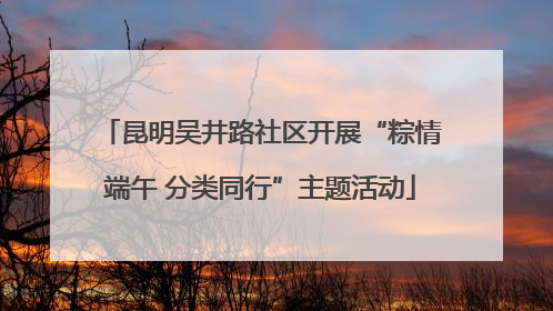 昆明吴井路社区开展“粽情端午 分类同行”主题活动