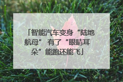 智能汽车变身“陆地航母” 有了“眼睛耳朵”能跑还能飞