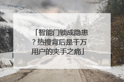 智能门锁成隐患？热搜背后是千万用户的夹手之痛