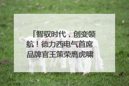 智驭时代，创变领航！德力西电气首席品牌官王策荣膺虎啸奖年度品牌人物