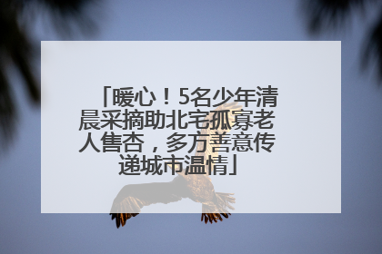 暖心！5名少年清晨采摘助北宅孤寡老人售杏，多方善意传递城市温情