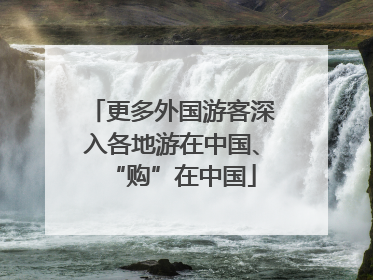 更多外国游客深入各地游在中国、“购”在中国