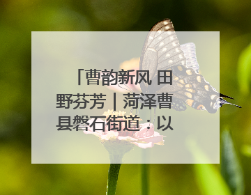 曹韵新风 田野芬芳｜菏泽曹县磐石街道：以歌为媒 唱响乡土“新歌声”