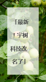 最新!宇树科技改名了