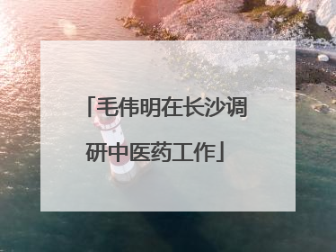毛伟明在长沙调研中医药工作