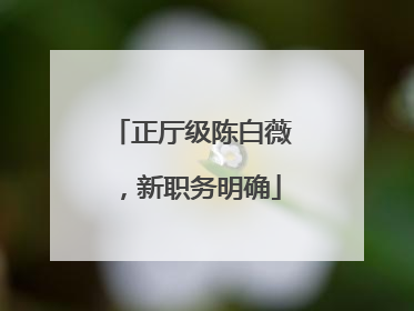 正厅级陈白薇，新职务明确