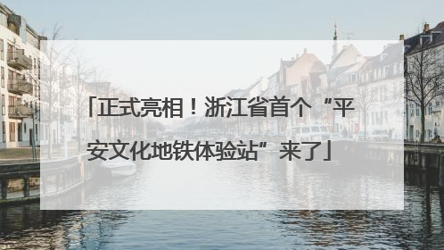 正式亮相！浙江省首个“平安文化地铁体验站”来了