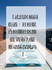 武昌区杨园街道：社校联合扮靓社区颜值 青春力量推动环保风尚