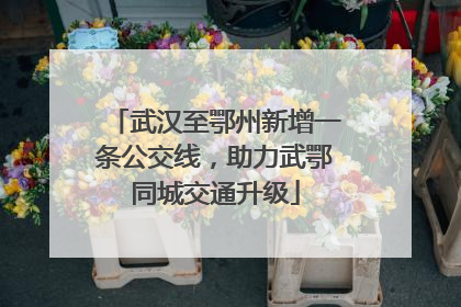 武汉至鄂州新增一条公交线，助力武鄂同城交通升级