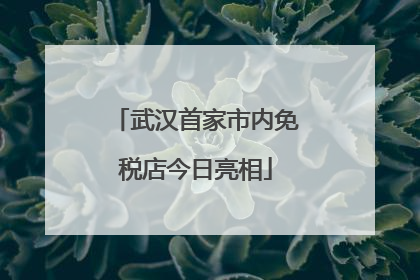 武汉首家市内免税店今日亮相