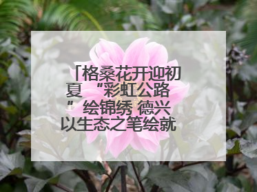格桑花开迎初夏 “彩虹公路”绘锦绣 德兴以生态之笔绘就宜居幸福图景