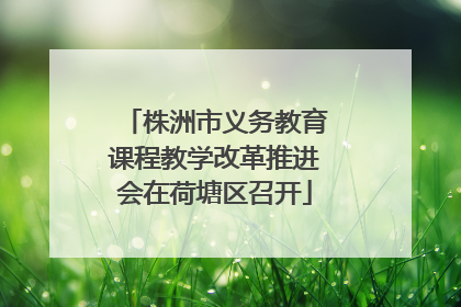 株洲市义务教育课程教学改革推进会在荷塘区召开
