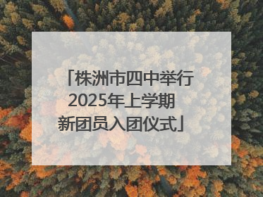 株洲市四中举行2025年上学期新团员入团仪式