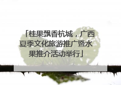 桂果飘香杭城，广西夏季文化旅游推广暨水果推介活动举行