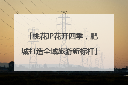 桃花IP花开四季，肥城打造全域旅游新标杆