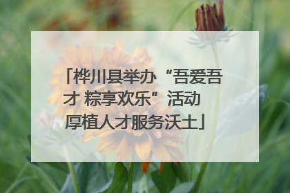 桦川县举办“吾爱吾才 粽享欢乐”活动 厚植人才服务沃土