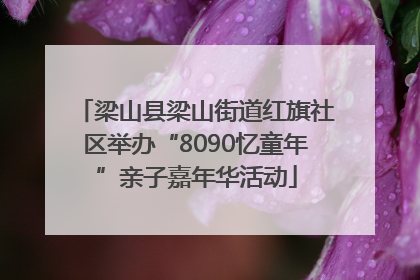 梁山县梁山街道红旗社区举办“8090忆童年”亲子嘉年华活动