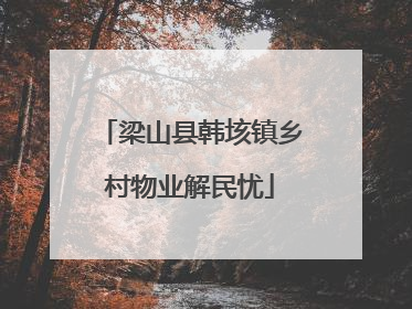 梁山县韩垓镇乡村物业解民忧