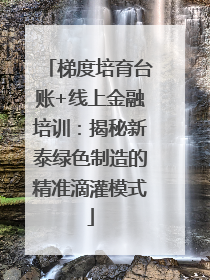 梯度培育台账+线上金融培训：揭秘新泰绿色制造的精准滴灌模式