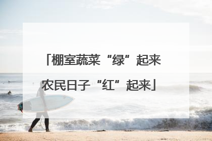 棚室蔬菜“绿”起来 农民日子“红”起来
