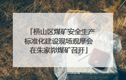 横山区煤矿安全生产标准化建设现场观摩会在朱家峁煤矿召开