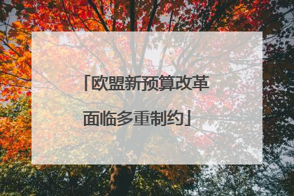 欧盟新预算改革面临多重制约