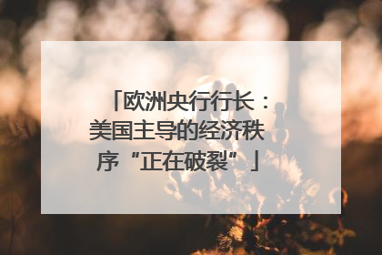 欧洲央行行长：美国主导的经济秩序“正在破裂”
