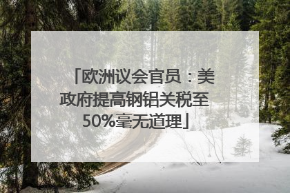 欧洲议会官员：美政府提高钢铝关税至50%毫无道理