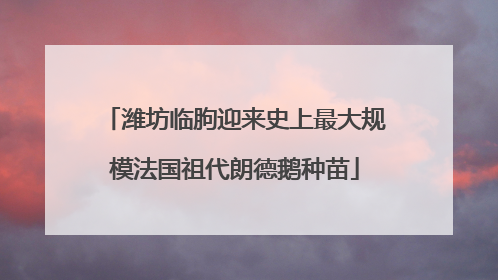 潍坊临朐迎来史上最大规模法国祖代朗德鹅种苗