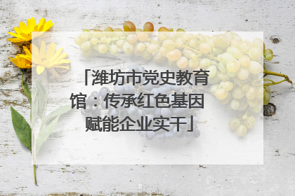 潍坊市党史教育馆：传承红色基因 赋能企业实干