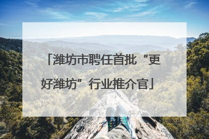 潍坊市聘任首批“更好潍坊”行业推介官