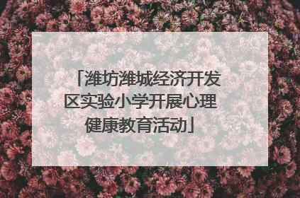潍坊潍城经济开发区实验小学开展心理健康教育活动