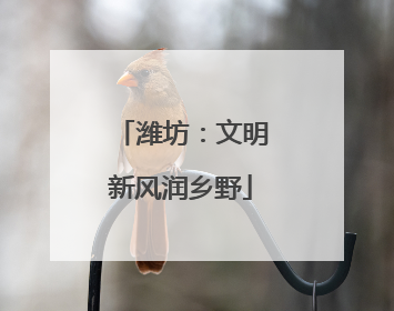 潍坊：文明新风润乡野